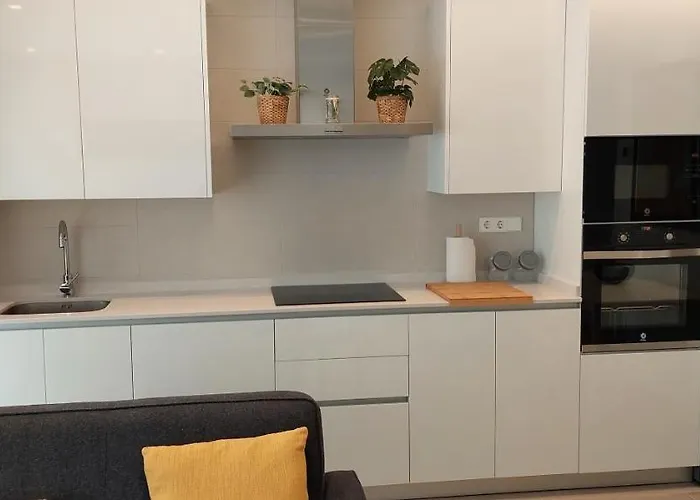 Dindurra Centro Playa - Posibilidad Parking Gratuito 公寓 希洪